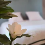 Les Hortensias Roses Duplex