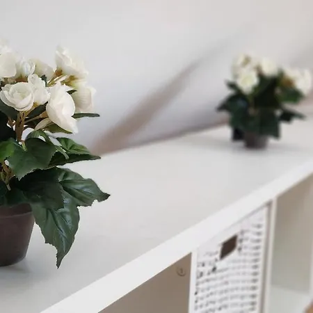 Les Hortensias Roses Duplex Apartment