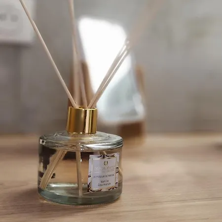 Apartment Les Hortensias Roses Duplex