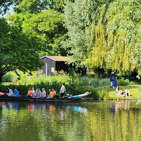 Les Hortensias Roses Duplex * Amiens