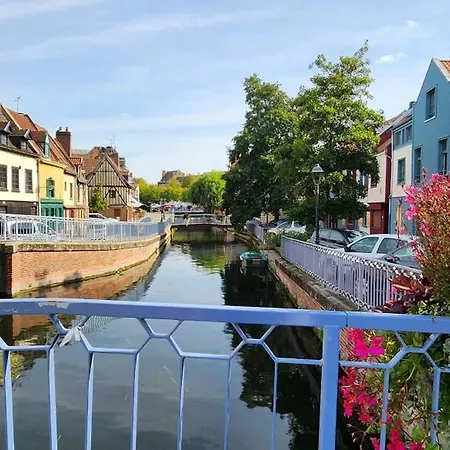 Les Hortensias Roses Duplex Amiens