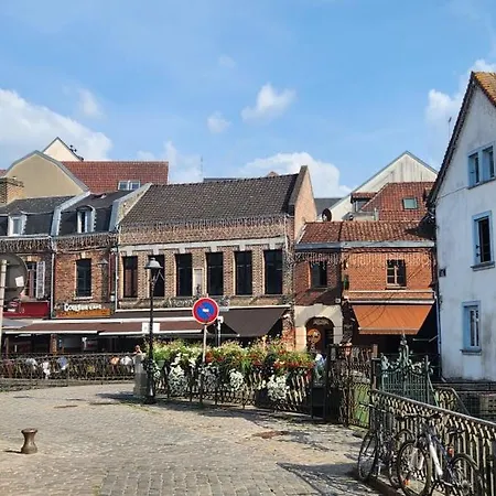 Les Hortensias Roses Duplex * Amiens