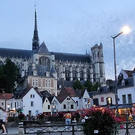 Les Hortensias Roses Duplex Amiens