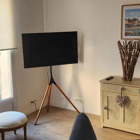 Les Hortensias Roses Duplex *