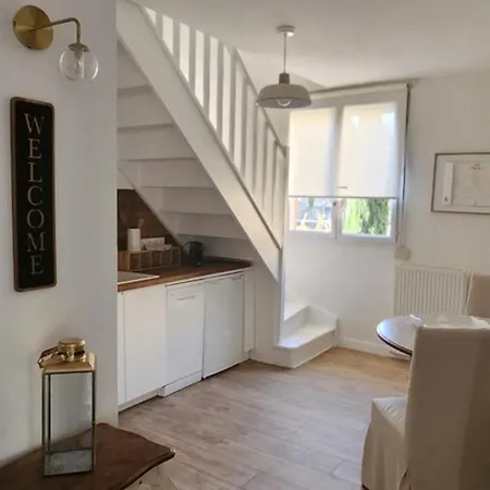 Les Hortensias Roses Duplex * Amiens