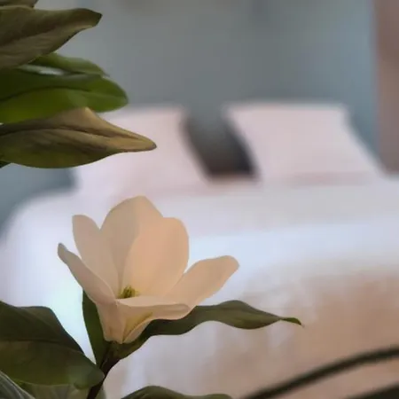 Les Hortensias Roses Duplex