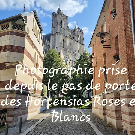 Les Hortensias Roses Duplex * Amiens