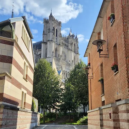 Les Hortensias Roses Duplex * Amiens