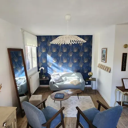 Les Hortensias Roses Duplex 公寓 阿棉